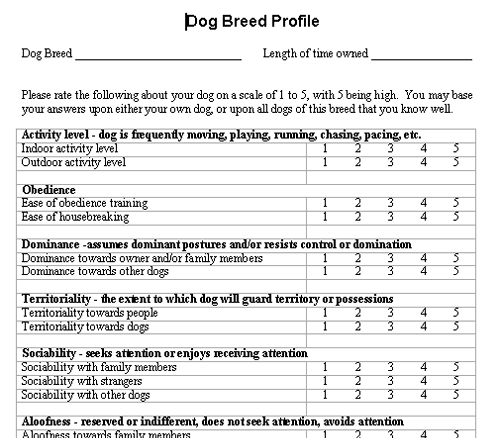 User Questionnaire