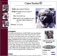 Entry for a Cairn Terrier